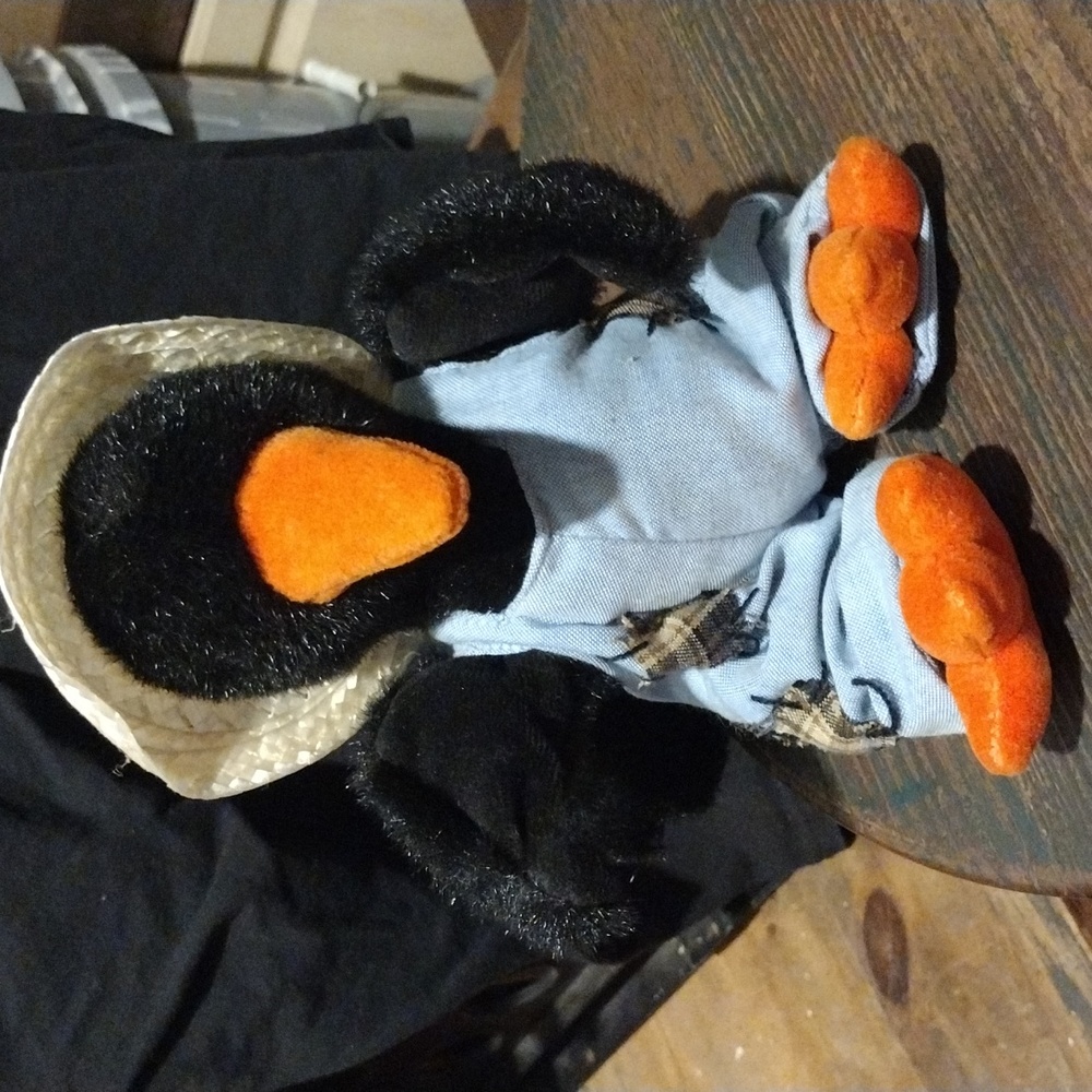 Crawley the Crow